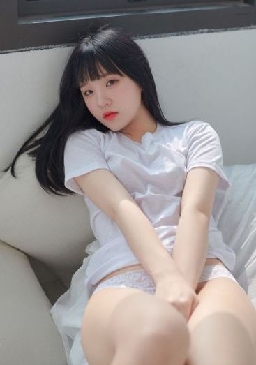 狐狸的春天
