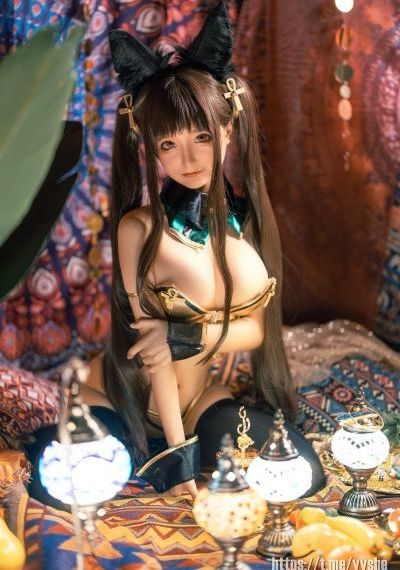 噼里啪啦电视剧免费观看