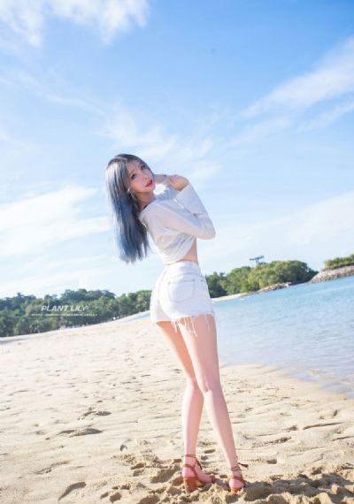 航海王樱花动漫