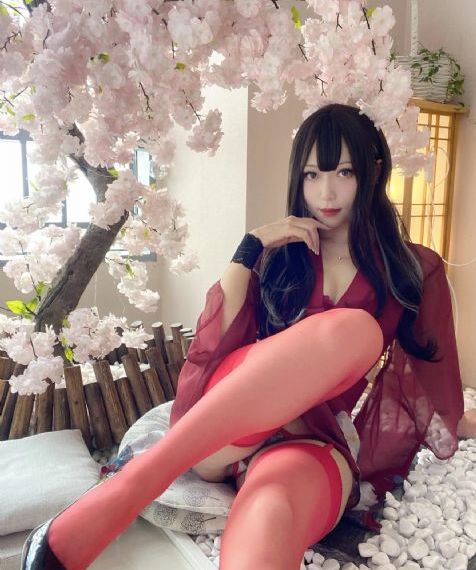 奇葩四合院电视剧免费观看