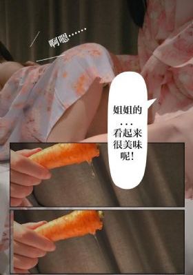 梅花儿香电视剧免费全集